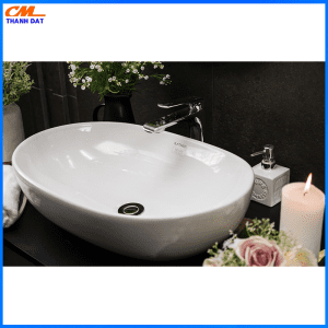 Chậu rửa dương bàn Platinum P.23.350