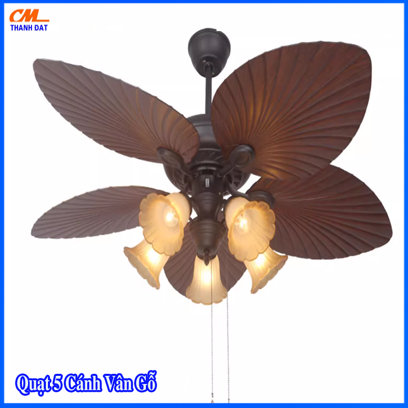 Thân đen và cánh nâu