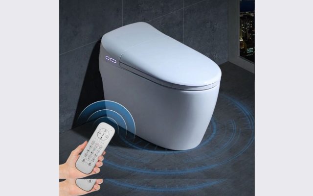 Cấu tạo của bồn cầu thông minh 