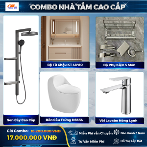 Combo Thiết Bị Vệ Sinh Cao Cấp CC-02